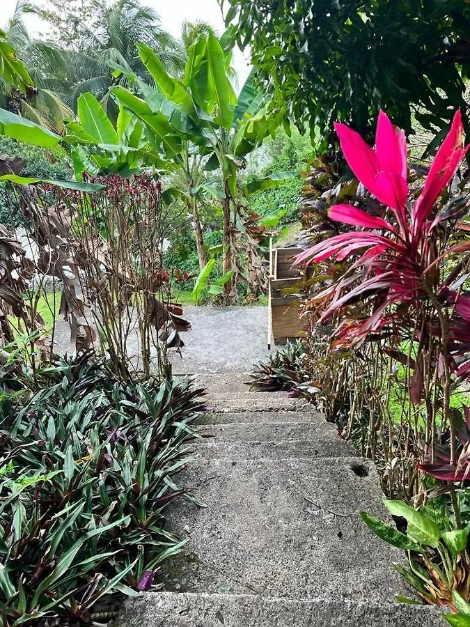 Penzion Hotel Casa Del Vega A Little Peace Of Heaven Castries