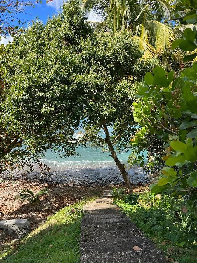 Casa Del Vega A Little Peace Of Heaven Hotel Castries Guest house