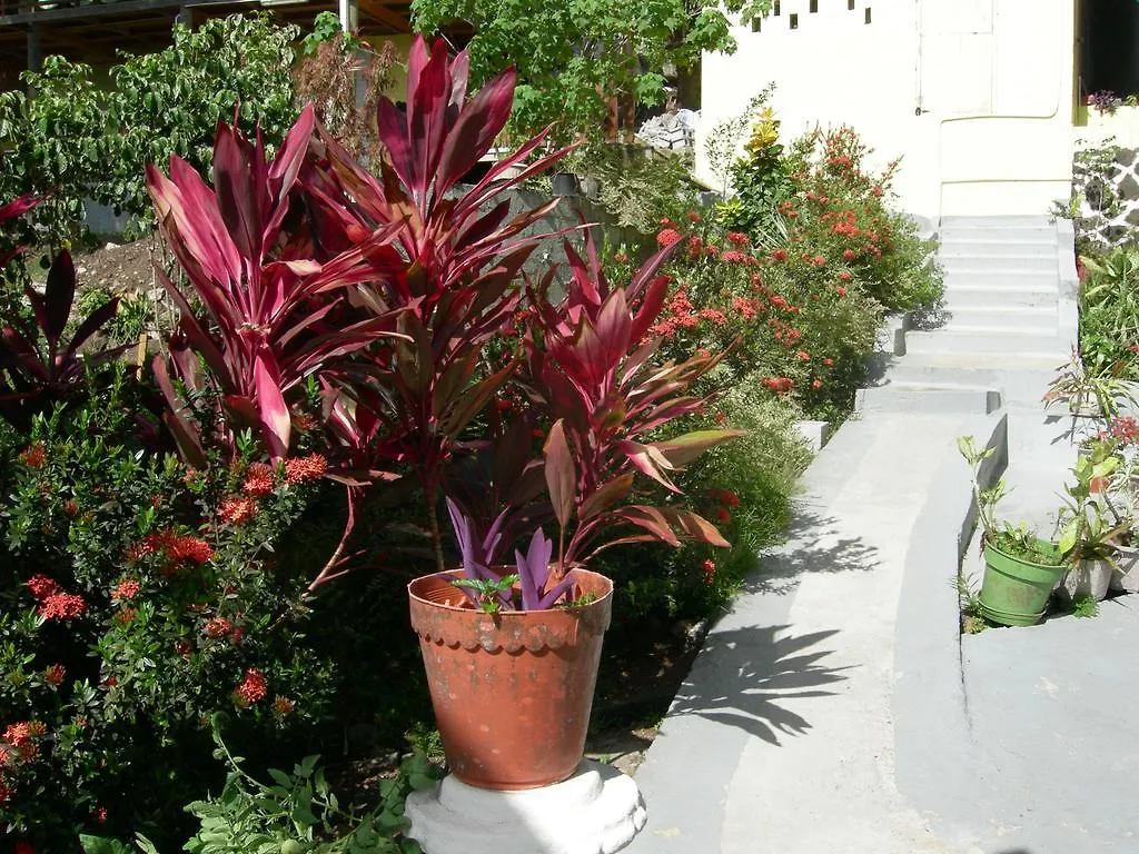 *** Guest house Casa Del Vega A Little Peace Of Heaven Hotel Castries Saint Lucia