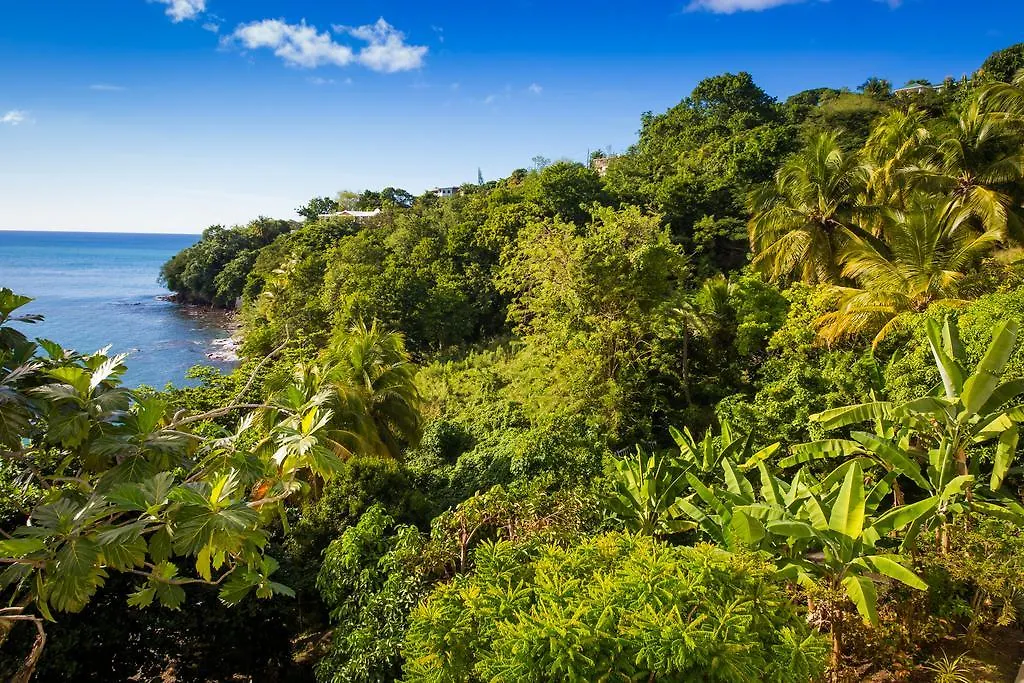 Guest house Casa Del Vega A Little Peace Of Heaven Hotel Castries