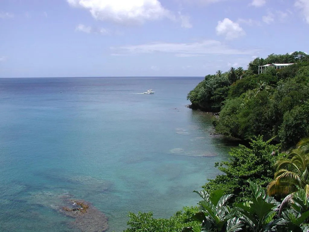 Casa Del Vega A Little Peace Of Heaven Hotel Castries Guest house