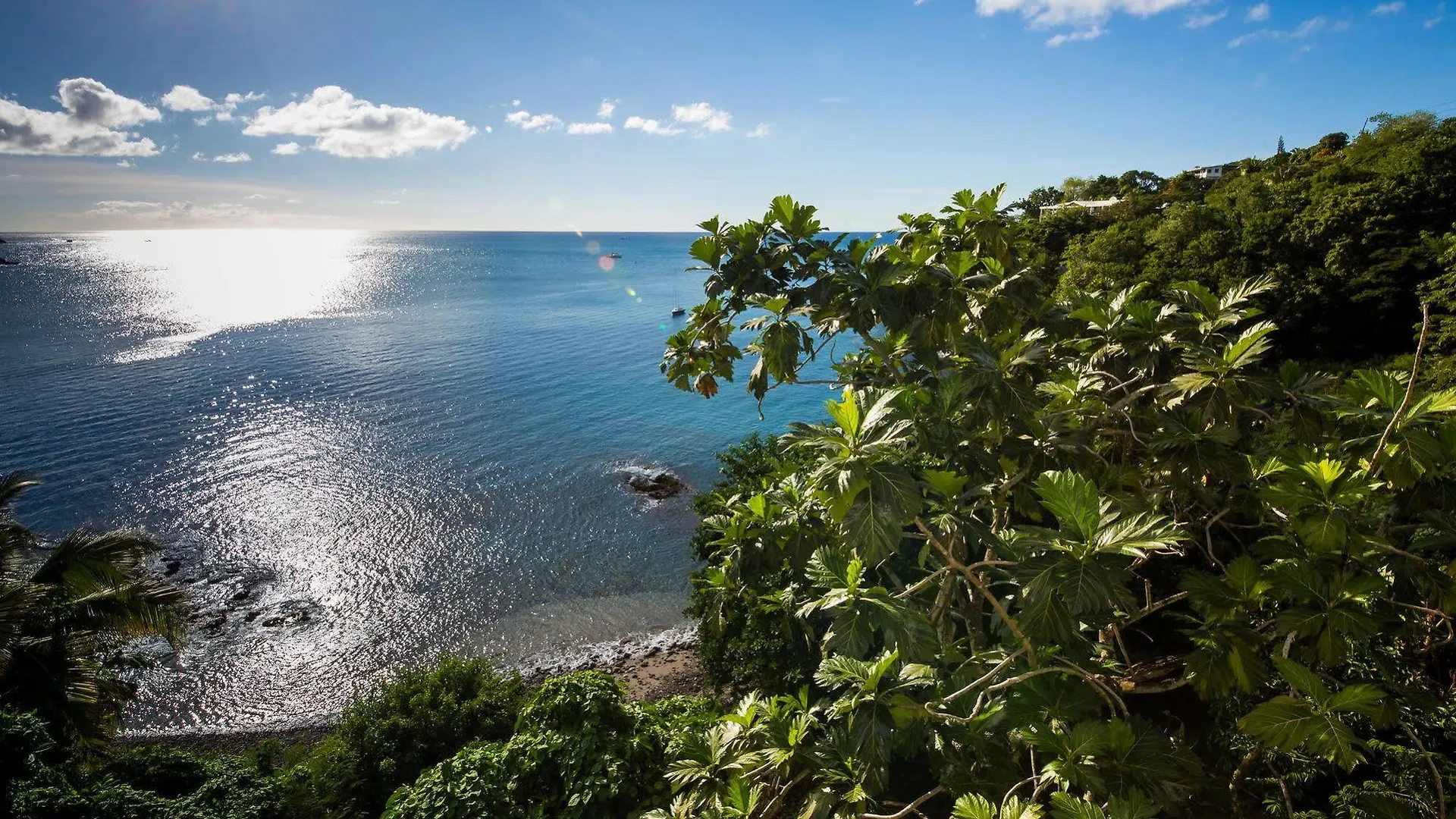 *** Guest house Casa Del Vega A Little Peace Of Heaven Hotel Castries Saint Lucia